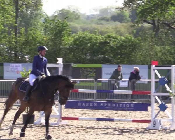 Reitturnier Langwedel - Hagen - Grinden 2019