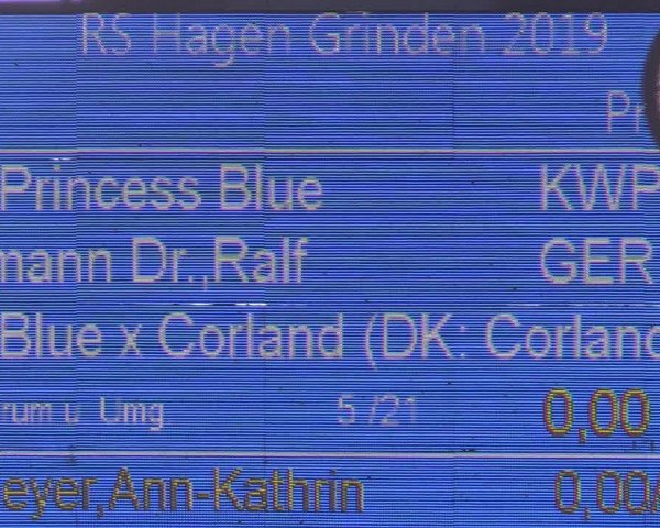 Reitturnier Langwedel - Hagen - Grinden 2019