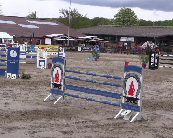 Reitturnier Havixbeck 2019