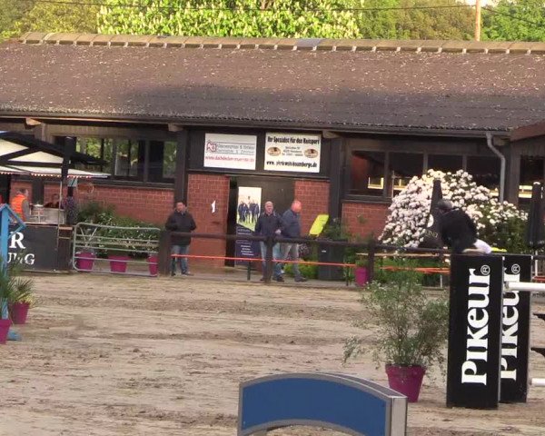 Reitturnier Havixbeck 2019