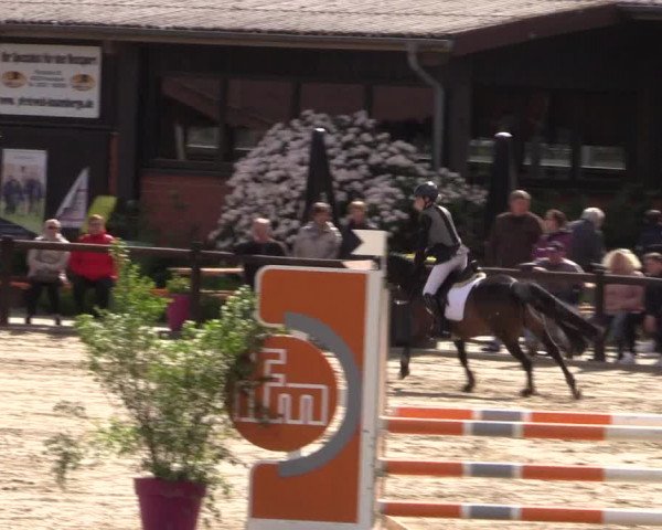 Reitturnier Havixbeck 2019