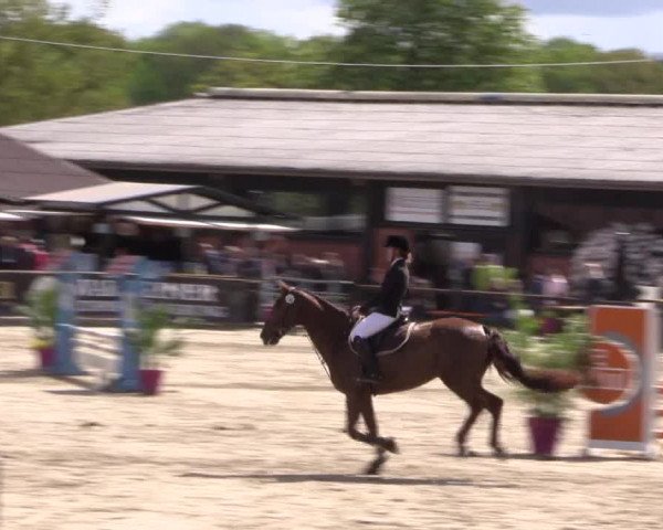 Reitturnier Havixbeck 2019