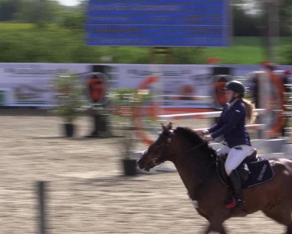 Reitturnier Langwedel - Hagen - Grinden 2019