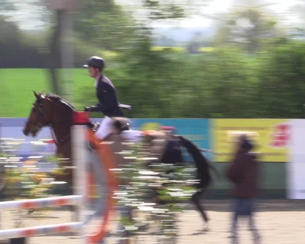 Reitturnier Langwedel - Hagen - Grinden 2019