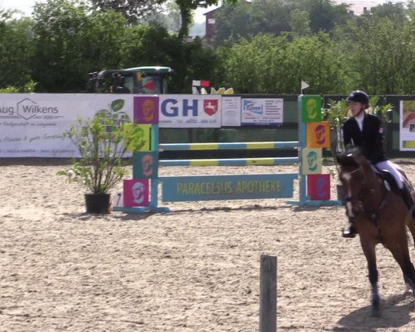 Reitturnier Langwedel - Hagen - Grinden 2019