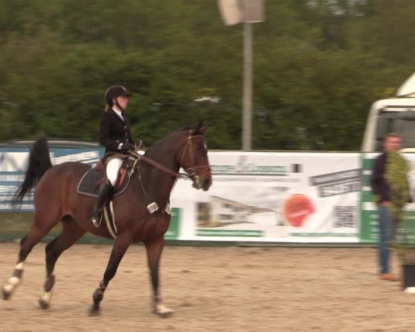 Reitturnier Langwedel - Hagen - Grinden 2019