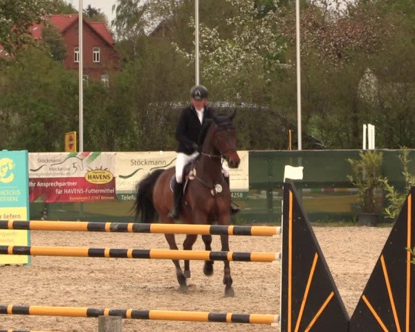 Reitturnier Langwedel - Hagen - Grinden 2019