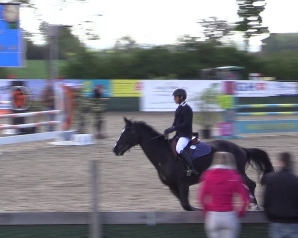 Reitturnier Langwedel - Hagen - Grinden 2019