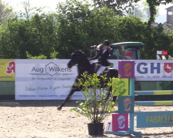 Reitturnier Langwedel - Hagen - Grinden 2019