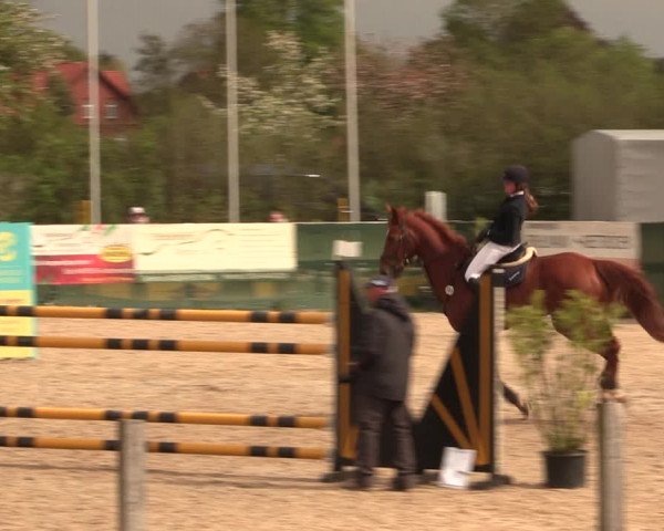 Reitturnier Langwedel - Hagen - Grinden 2019