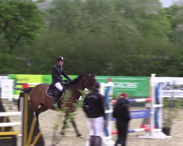 Reitturnier Langwedel - Hagen - Grinden 2019