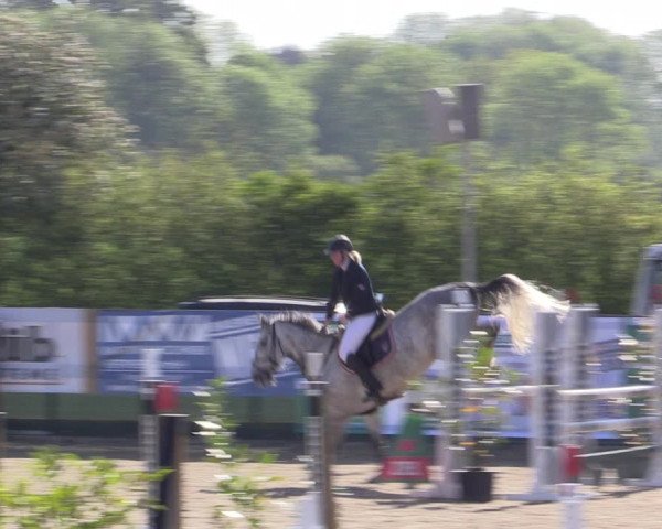 Reitturnier Langwedel - Hagen - Grinden 2019