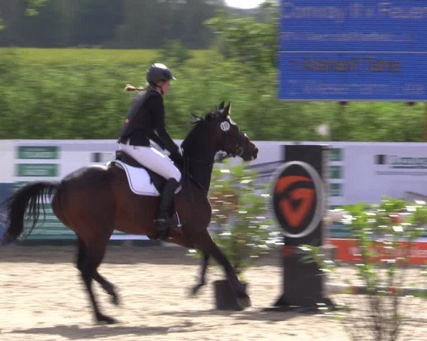 Reitturnier Langwedel - Hagen - Grinden 2019