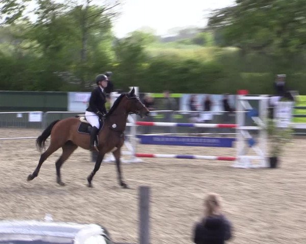 Reitturnier Langwedel - Hagen - Grinden 2019