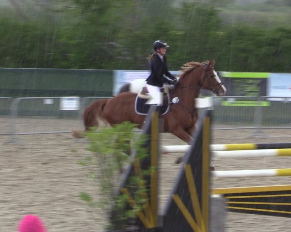 Reitturnier Langwedel - Hagen - Grinden 2019