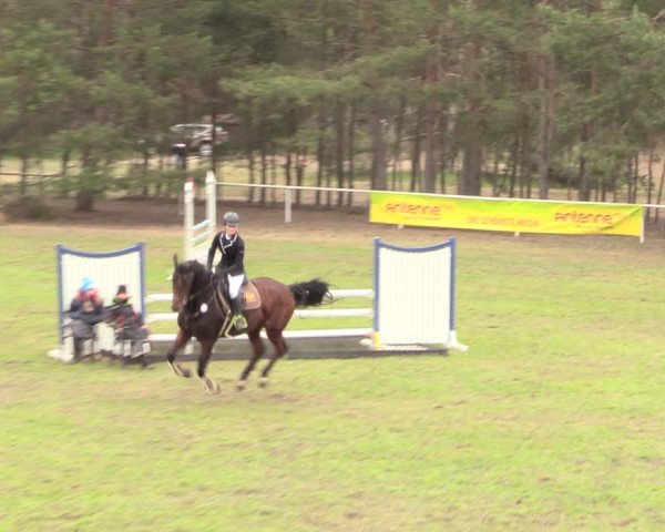 Reitturnier Altbarnim 2019