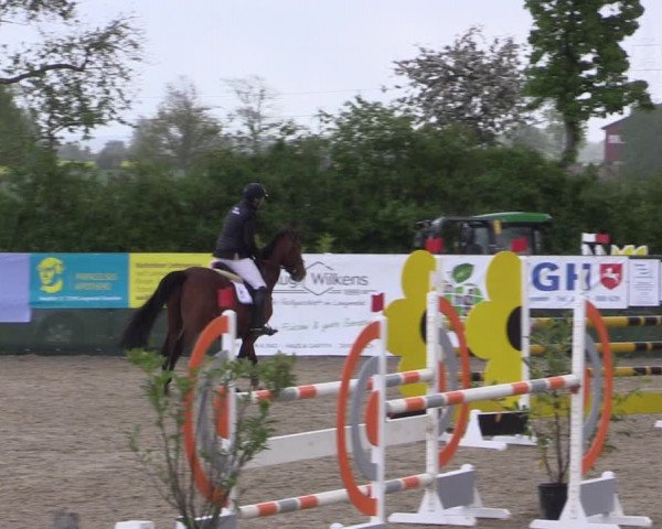 Reitturnier Langwedel - Hagen - Grinden 2019