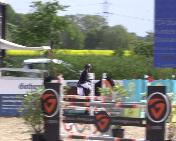 Reitturnier Langwedel - Hagen - Grinden 2019