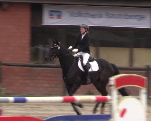 Reitturnier Havixbeck 2019