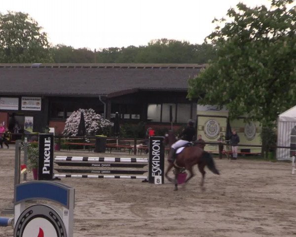 Reitturnier Havixbeck 2019