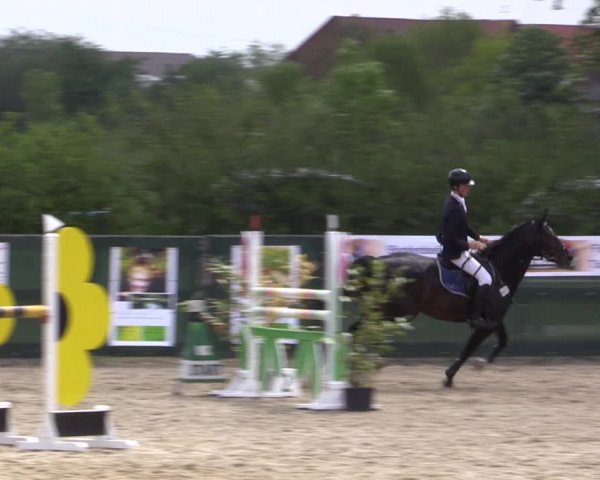 Reitturnier Langwedel - Hagen - Grinden 2019