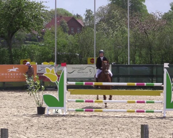 Reitturnier Langwedel - Hagen - Grinden 2019