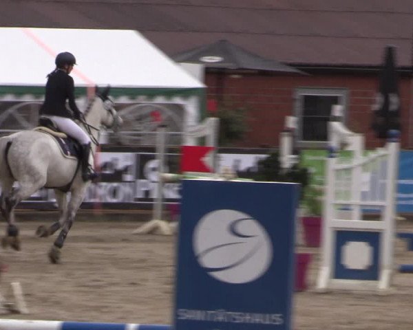 Reitturnier Havixbeck 2019