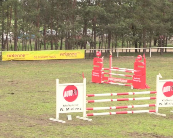 Reitturnier Altbarnim 2019