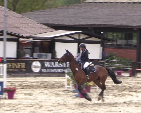 Reitturnier Havixbeck 2019
