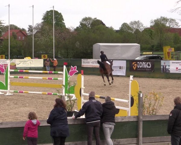 Reitturnier Langwedel - Hagen - Grinden 2019