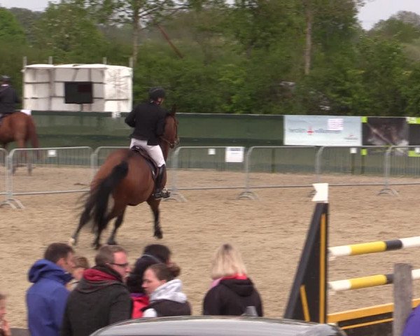 Reitturnier Langwedel - Hagen - Grinden 2019