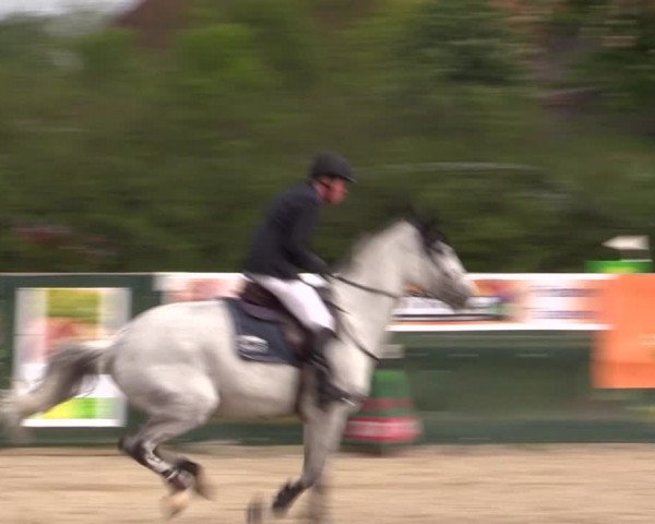 Reitturnier Langwedel - Hagen - Grinden 2019