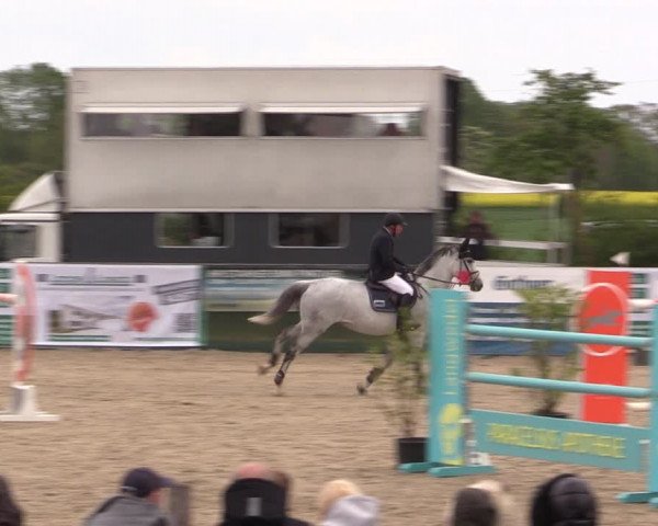 Reitturnier Langwedel - Hagen - Grinden 2019