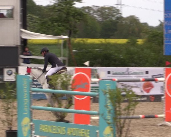Reitturnier Langwedel - Hagen - Grinden 2019