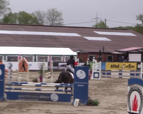 Reitturnier Havixbeck 2019