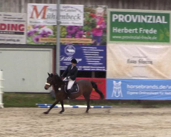 Reitturnier Havixbeck 2019