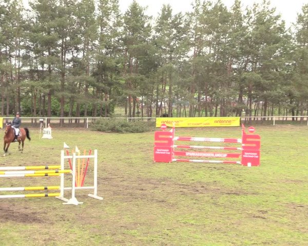 Reitturnier Altbarnim 2019