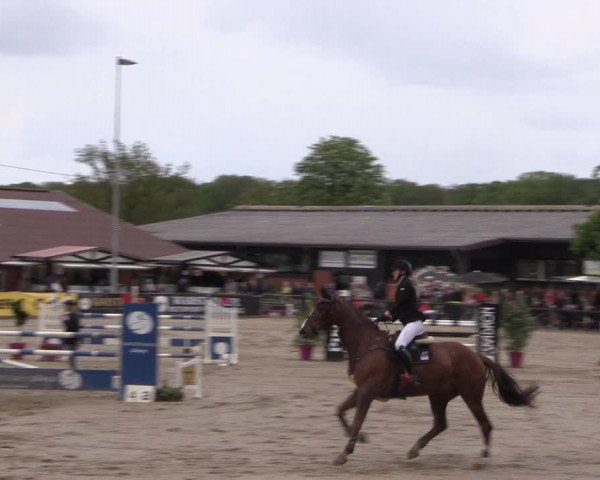 Reitturnier Havixbeck 2019