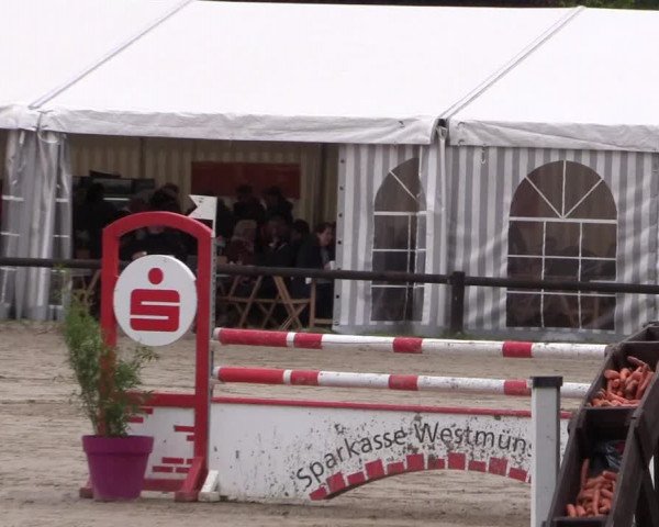 Reitturnier Havixbeck 2019