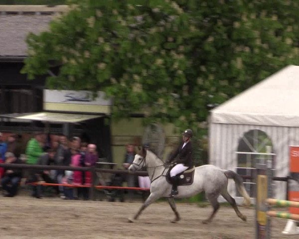 Reitturnier Havixbeck 2019