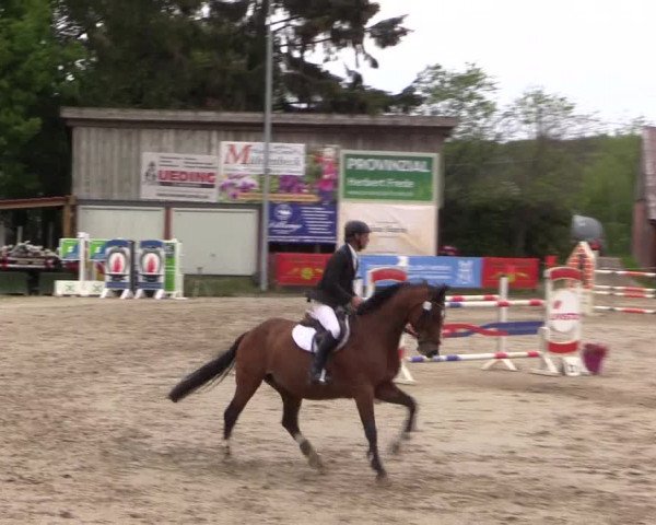 Reitturnier Havixbeck 2019