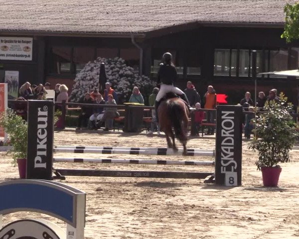 Reitturnier Havixbeck 2019