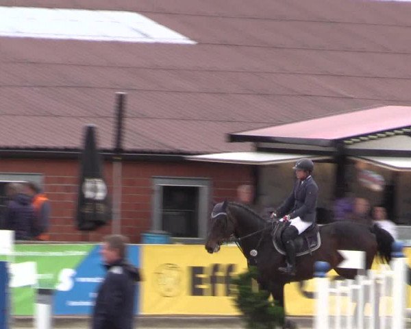 Reitturnier Havixbeck 2019