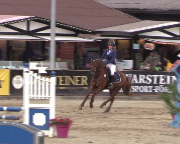 Reitturnier Havixbeck 2019
