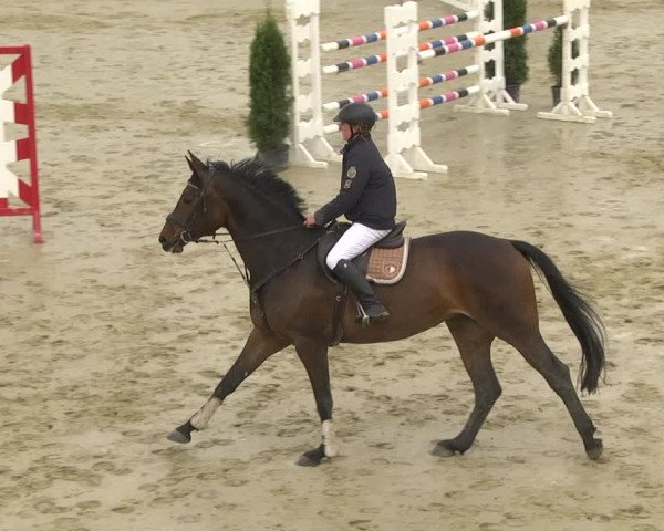Reitturnier Leutkirch-Diepoldshofen 2019