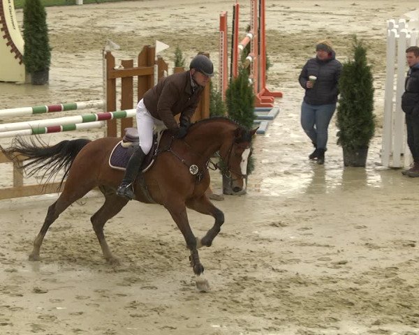 Reitturnier Leutkirch-Diepoldshofen 2019