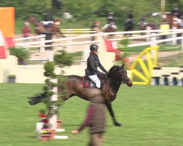 Reitturnier Greppin 2019