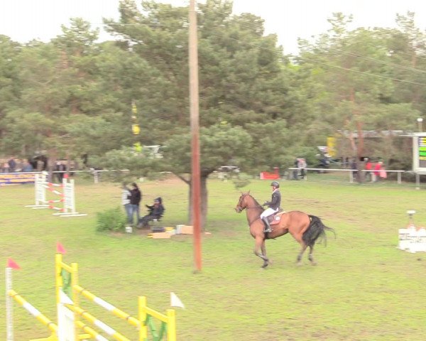 Reitturnier Altbarnim 2019