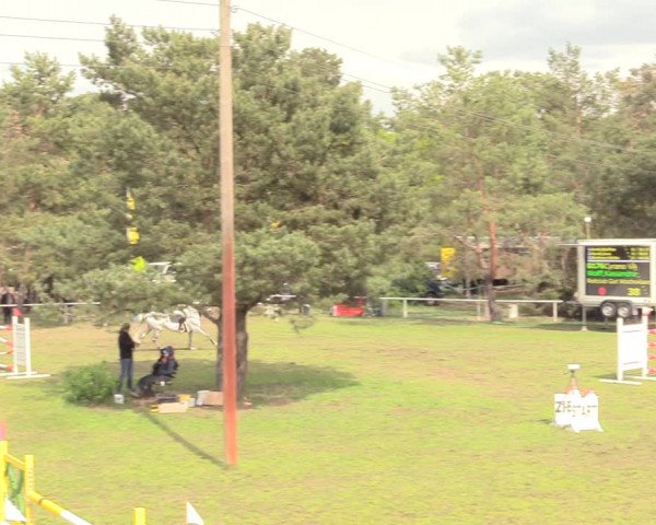 Reitturnier Altbarnim 2019