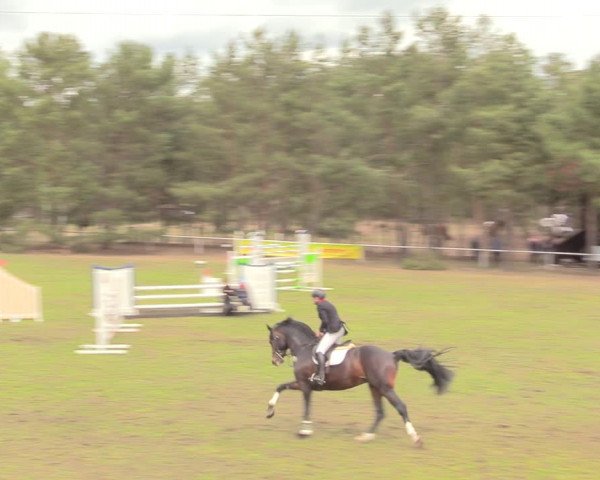 Reitturnier Altbarnim 2019
